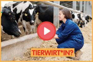 video enterbrainment abi ausbildungsberuf tierwirt 300x200